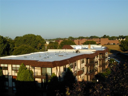 White TPO White TPO Roof